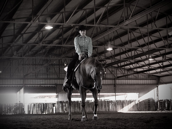 WT EQUESTRIAN